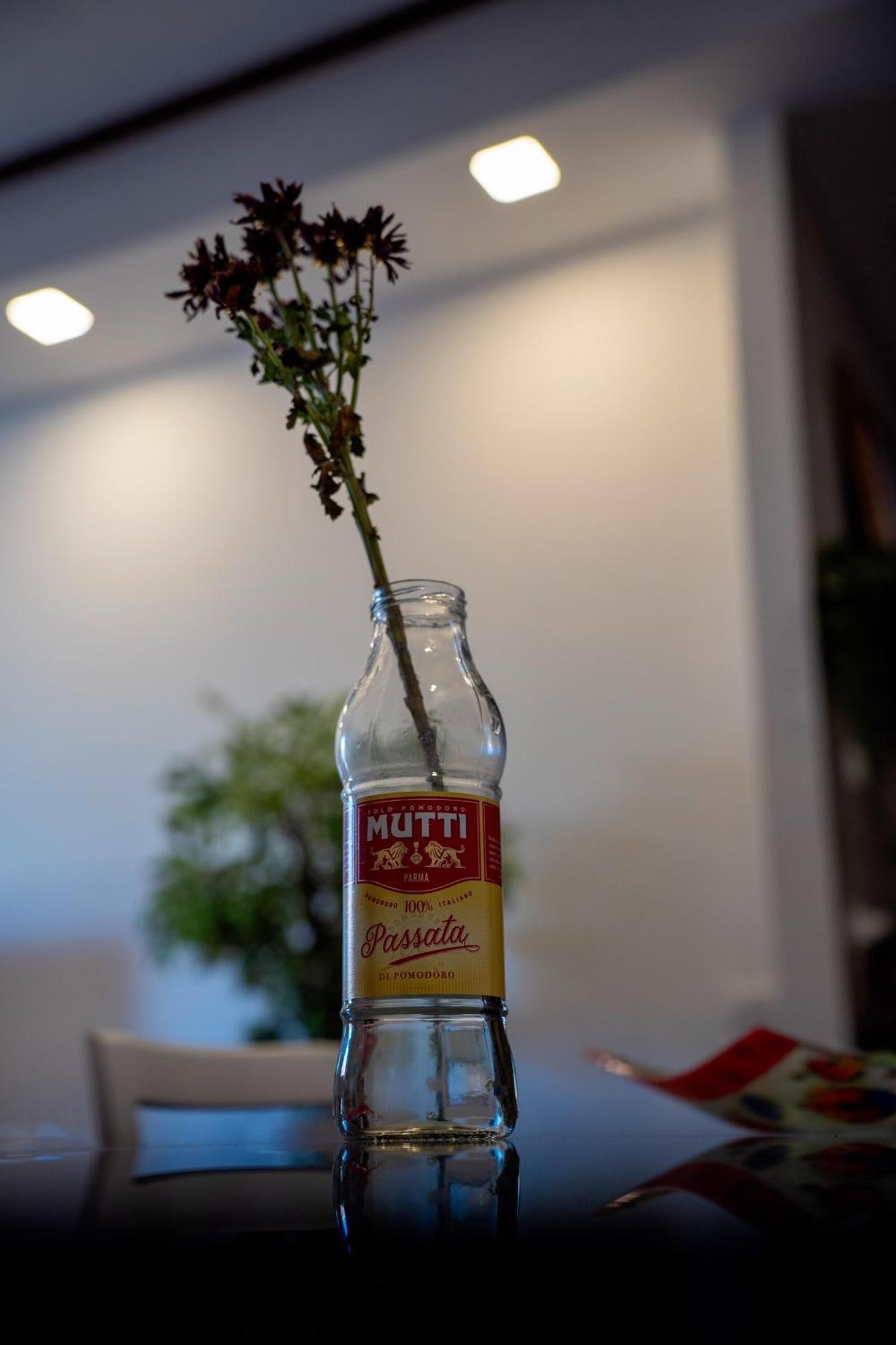 The Cozy Home Roma Ngoại thất bức ảnh